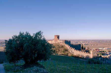 The beautiful Castle of Soaveの写真素材