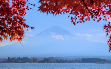 Hazy daytime view of Mount Fuji and Lake Kawaguchi, framed by red maple leaves and under a blue skyの写真素材