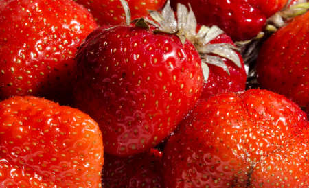 Ripe strawberry close-up の写真素材
