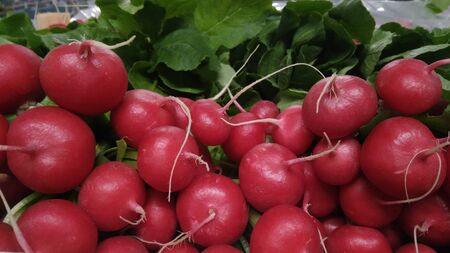 a bunch of red radishes