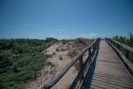 Wooden walkway on sand dunes in sunny summer day.の写真素材
