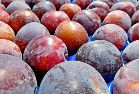 Fresh plums for sale at the farmers market, closeup of photoの写真素材