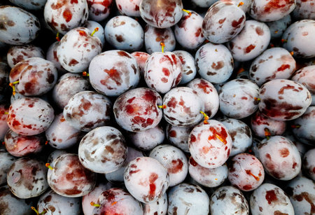 Ripe plums on a market stall. Close up.の写真素材
