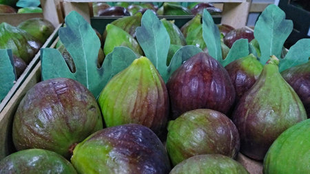 Fresh figs on display in a market, closeup of photoの写真素材