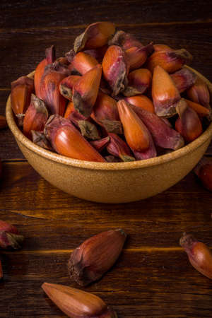 Pinion, traditional Brazilian food, seed of the auraucaria.