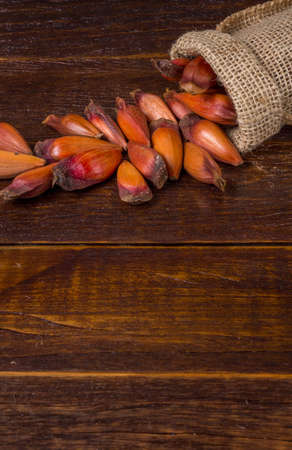 Pinion, traditional Brazilian food, seed of the auraucaria.の写真素材