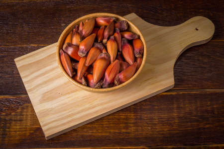 Pinion, traditional Brazilian food, seed of the auraucaria.の写真素材
