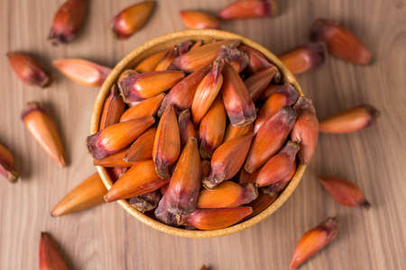 Pinion, traditional Brazilian food, seed of the auraucaria.