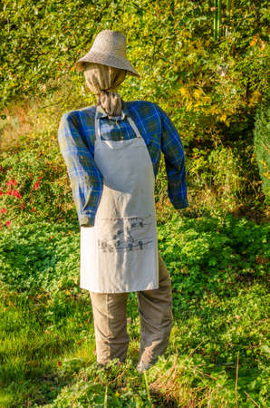 A scarecrow with pants, shirt, apron and a hat in a gardenの写真素材