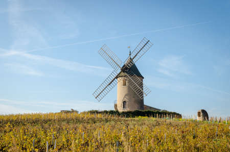 Vineyard with old windmill in Moulin a Vent, Beaujolais, Franceの写真素材