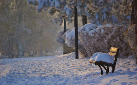 Bench in the winter city park at sunset. Filled up with snow. Snow covered trees. Christmas spirit.の写真素材