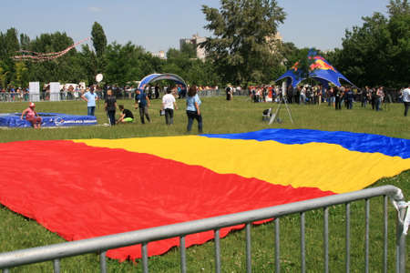 Romanian Flag On Grassのeditorial素材
