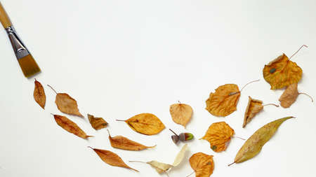 Autumn is a time for creativity. Autumn background with yellow leaves and a paintbrush. Yellow leaves on a white background. Autumn creativeの写真素材