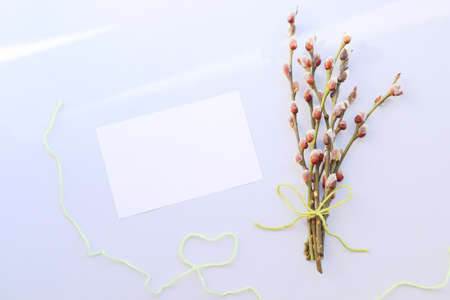 Spring background with space for text. International Womens Day. Mothers Day. Flowers on a yellow background with space for textの写真素材