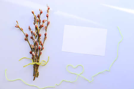 Spring background with space for text. International Womens Day. Mothers Day. Flowers on a yellow background with space for textの写真素材