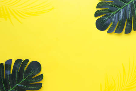 Summer layout with space for text. Tropical fruits and leaves on a white background. Seashellsの写真素材