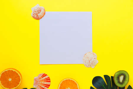 Summer layout with space for text. Tropical fruits and leaves on a white background. Seashellsの写真素材