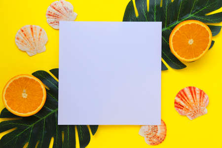 Summer layout with space for text. Tropical fruits and leaves on a white background. Seashellsの写真素材