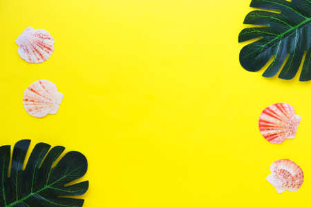 Summer layout with space for text. Tropical fruits and leaves on a white background. Seashellsの写真素材