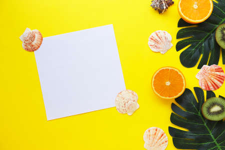 Summer layout with space for text. Tropical fruits and leaves on a white background. Seashellsの写真素材