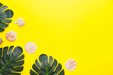 Summer layout with space for text. Tropical fruits and leaves on a white background. Seashellsの写真素材