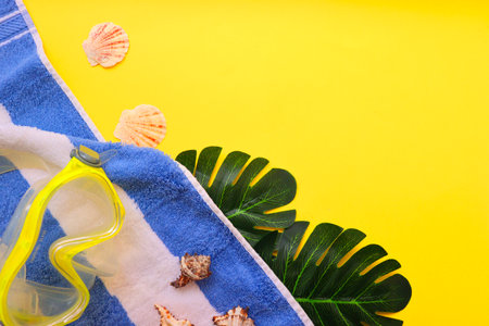 Summer layout with space for text. Tropical fruits and leaves on a white background. Seashellsの写真素材