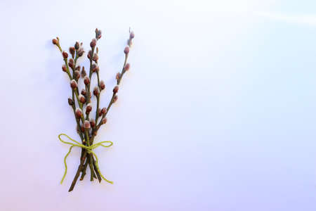 Spring background with space for text. International Womens Day. Mothers Day. Flowers on a yellow background with space for textの写真素材