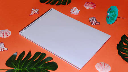 Summer background with place for text. Tropical background with notepad. Seashell, green tropical leaves on a red backgroundの写真素材