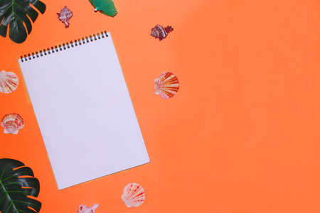 Summer background with place for text. Tropical background with notepad. Seashell, green tropical leaves on a red backgroundの写真素材