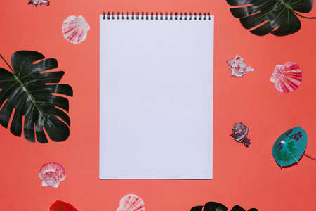 Summer background with place for text. Tropical background with notepad. Seashell, green tropical leaves on a red backgroundの写真素材