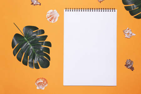 Summer background with place for text. Tropical background with notepad. Seashell, green tropical leaves on a red backgroundの写真素材