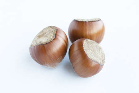 group of hazelnuts on white backgroundの写真素材