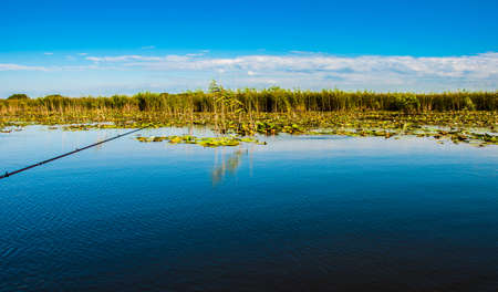 solitude on lake in danube deltaの写真素材