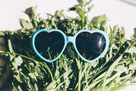 funny rucola salad on white background, tasty and pop minimal concept designの写真素材