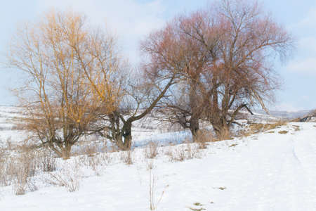 Threesの写真素材