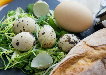 Raw quail eggs on greens and baguettesの写真素材