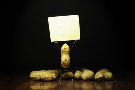 Peanut holding a blank poster by raised hands in the dark