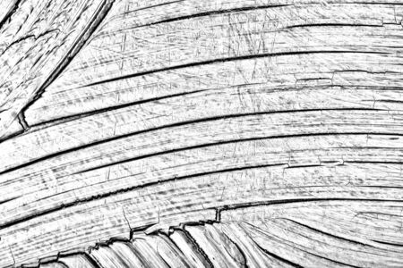 black and white backgroundの写真素材