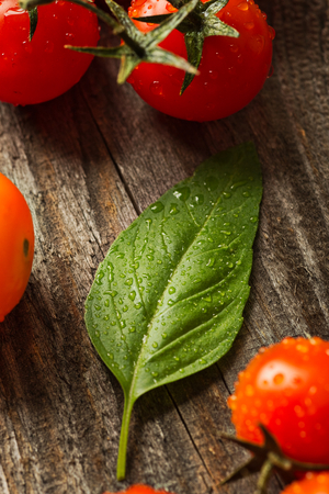 Fresh ripe garden tomatoes and basil on wooden table. Top viewの写真素材