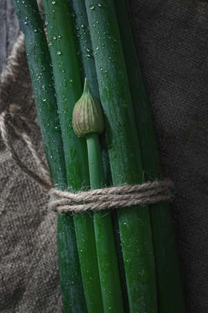 Fresh green onions on an old wooden table. Dark background. Top view.