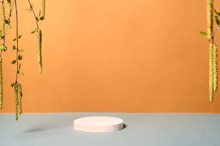 Minimal modern product display. Wood slice podium and green leaves. Concept scene stage showcase for new product, promotion sale, banner, presentation, cosmeticの写真素材