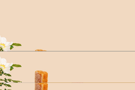 Honey background. Sweet honey in combs, propolis and pollen on a wooden pedestal. copy space for textの写真素材