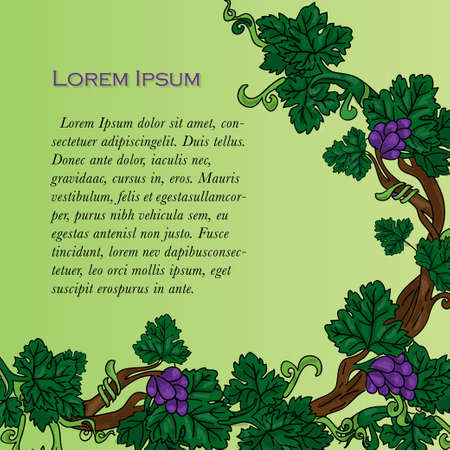 Grapevine corner frame, purple bunches of grapes on a green backgroundのイラスト素材
