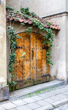 Old wooden double door, green ivy on tiled canopyのeditorial素材