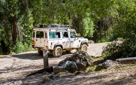 SUV rides on the country road among trees in forest, Neve Shalom, Israelのeditorial素材