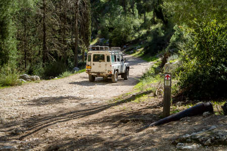 SUV rides on the country road among trees in forest, Neve Shalom, Israelのeditorial素材