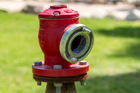 Red fire hose connector, fire hydrant on the background of green grass, fire fighting equipmentの写真素材