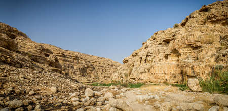 Wadi Qelt or Nahal Prat, summer in the Nature Reserve in the Judaean Desert, Israel
