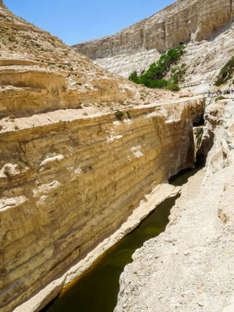 The Nahal Zin, near the kibbutz Sde Boker and Midreshet Ben-Gurion in Negev Desert, Israelの写真素材