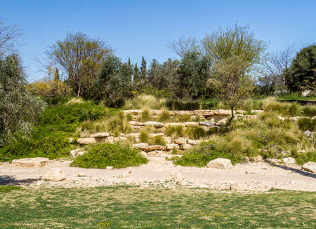 The garden with stones, trees and diverse plants in Midreshet Ben-Gurion, Ben Gurion national park next to kibbutz Sde Boker in the Negev desert, Israelの写真素材